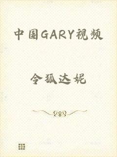 中国GARY视频