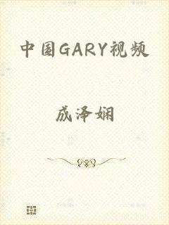 中国GARY视频