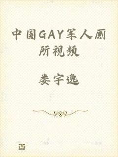 中国GAY军人厕所视频