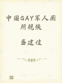 中国GAY军人厕所视频