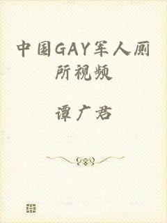 中国GAY军人厕所视频