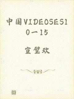 中国VIDEOSES10一15