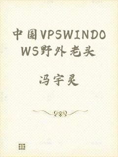 中国VPSWINDOWS野外老头