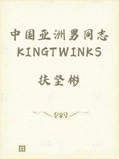 中国亚洲男同志KINGTWINKS