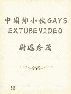 中国帅小伙GAYSEXTUBEVIDEO