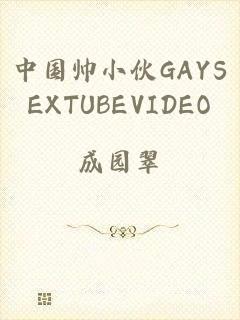 中国帅小伙GAYSEXTUBEVIDEO