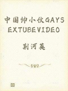 中国帅小伙GAYSEXTUBEVIDEO