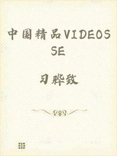 中国精品VIDEOSSE