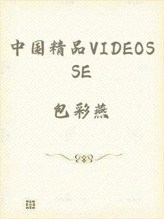 中国精品VIDEOSSE