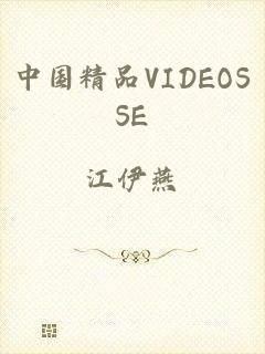 中国精品VIDEOSSE