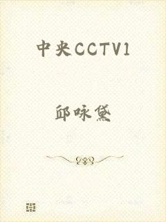 中央CCTV1