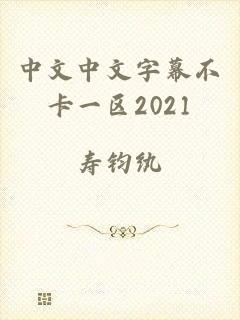 中文中文字幕不卡一区2021