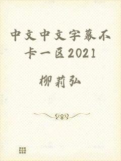 中文中文字幕不卡一区2021