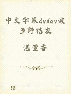 中文字幕dvdav波多野结衣