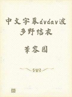 中文字幕dvdav波多野结衣