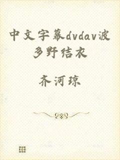 中文字幕dvdav波多野结衣