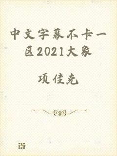 中文字幕不卡一区2021大象