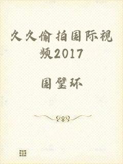 久久偷拍国际视频2017