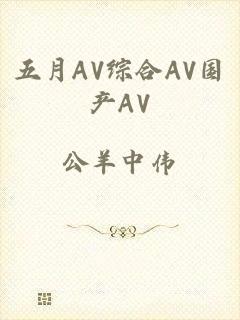 五月AV综合AV国产AV