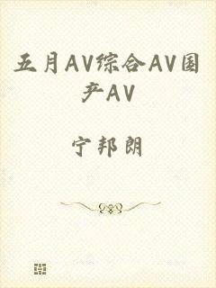 五月AV综合AV国产AV