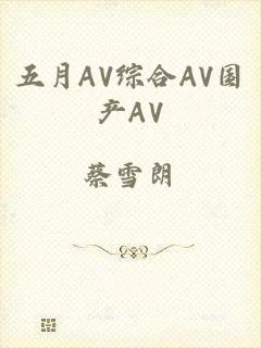 五月AV综合AV国产AV