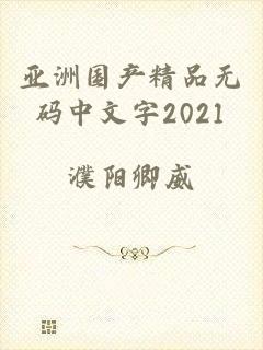 亚洲国产精品无码中文字2021