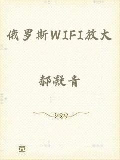 俄罗斯WIFI放大