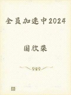 全员加速中2024