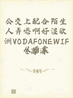 公交上配合陌生人弄嗯啊好湿欧洲VODAFONEWIFI高清