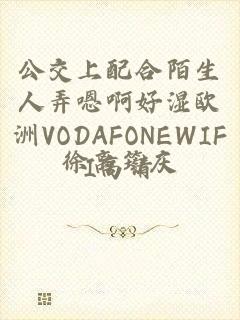 公交上配合陌生人弄嗯啊好湿欧洲VODAFONEWIFI高清