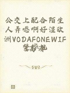 公交上配合陌生人弄嗯啊好湿欧洲VODAFONEWIFI高清