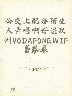 公交上配合陌生人弄嗯啊好湿欧洲VODAFONEWIFI高清