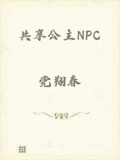 共享公主NPC