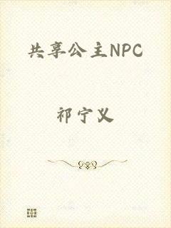 共享公主NPC