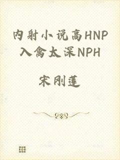 内射小说高HNP入禽太深NPH