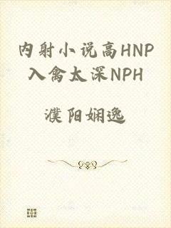 内射小说高HNP入禽太深NPH