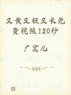 又黄又粗又长免费视频120秒