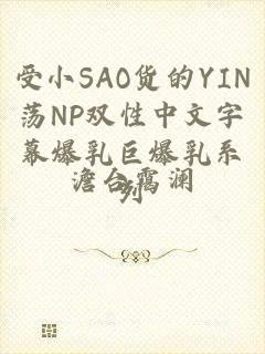 受小SAO货的YIN荡NP双性中文字幕爆乳巨爆乳系列