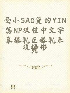 受小SAO货的YIN荡NP双性中文字幕爆乳巨爆乳系列