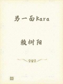 另一面kara