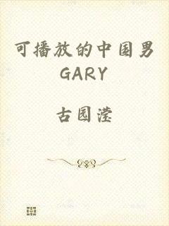 可播放的中国男GARY