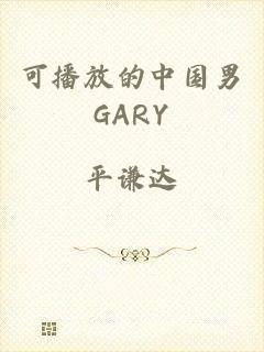 可播放的中国男GARY