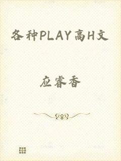 各种PLAY高H文