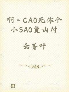 啊～CAO死你个小SAO货山村