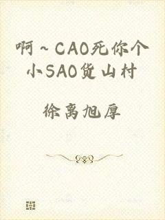 啊～CAO死你个小SAO货山村