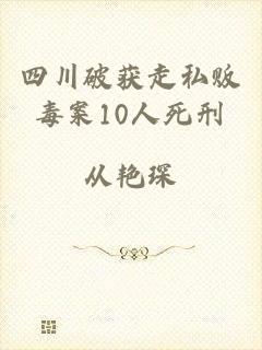 四川破获走私贩毒案10人死刑