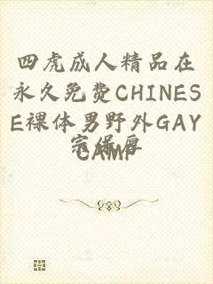 四虎成人精品在永久免费CHINESE裸体男野外GAYCAMP