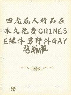 四虎成人精品在永久免费CHINESE裸体男野外GAYCAMP