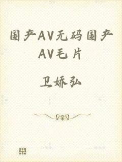 国产AV无码国产AV毛片