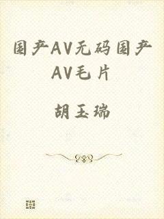 国产AV无码国产AV毛片